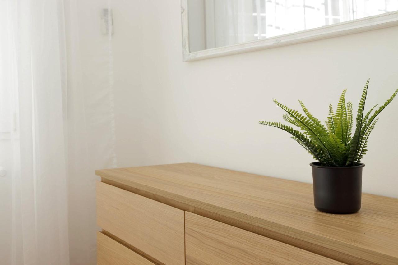 Zucchi Rooms Рим Екстер'єр фото